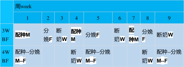 澳门正版内部传真彩图