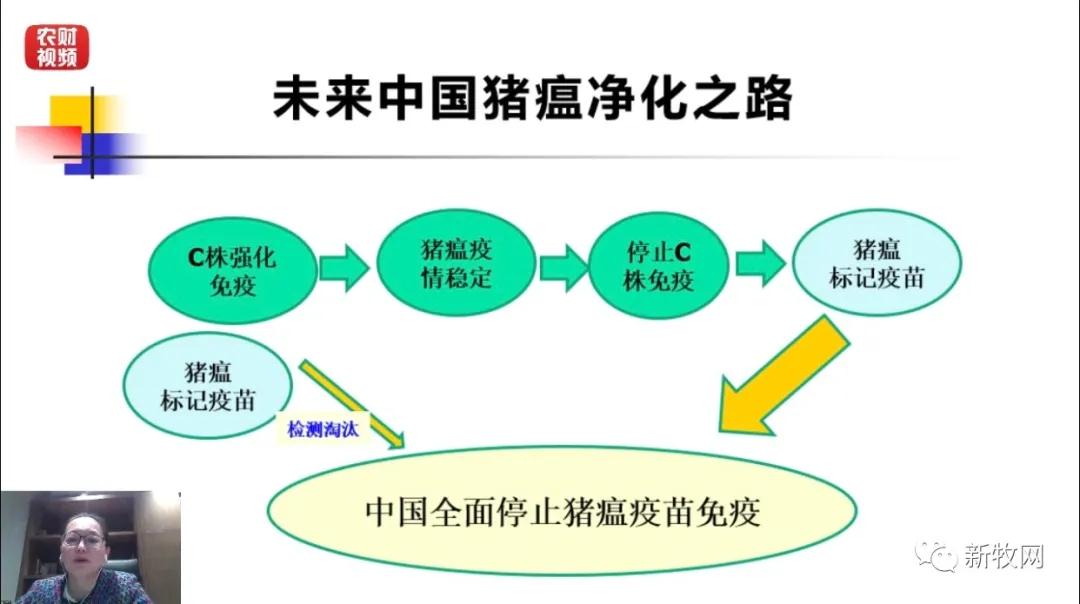 澳门正版内部传真彩图