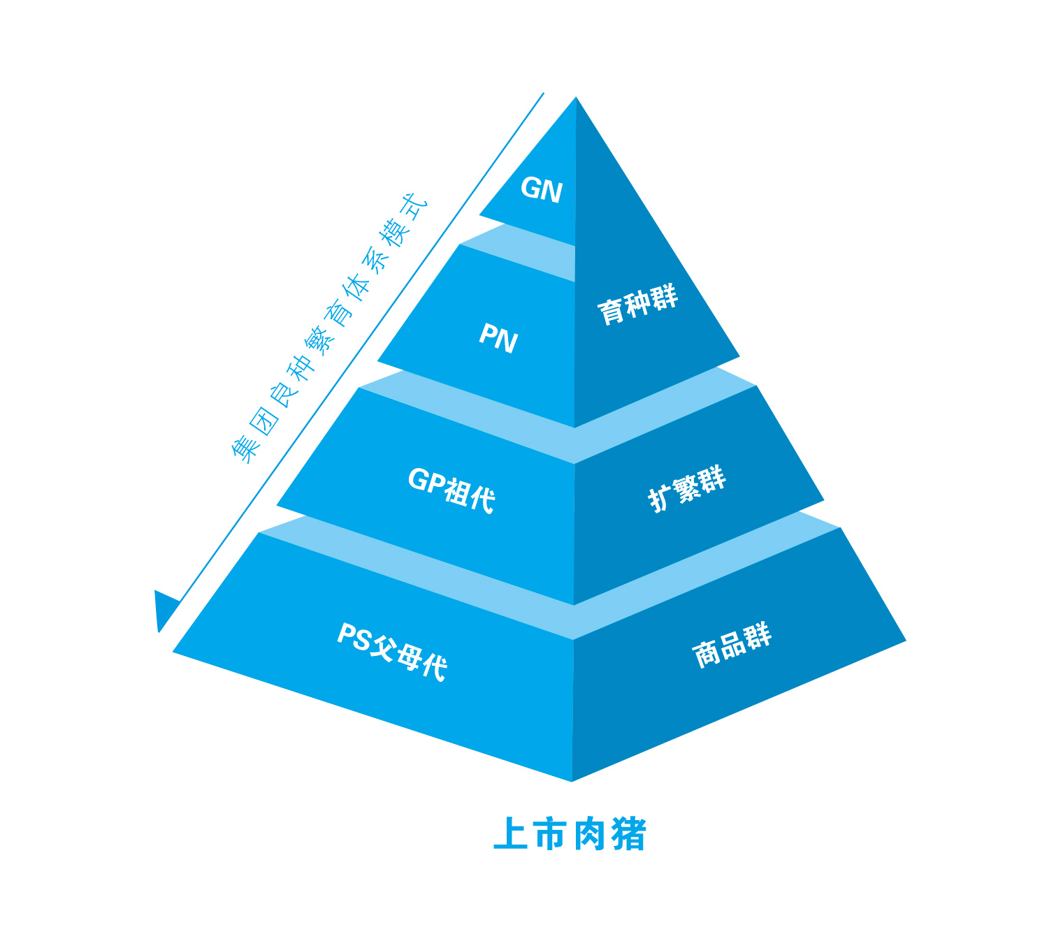 澳门正版内部传真彩图